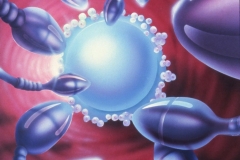 Front Cover Illustration - Nycomed Pharmaceutical,  Stockholm, Sweden