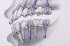 Dental Journal illustration