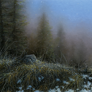 Hunting the High Country