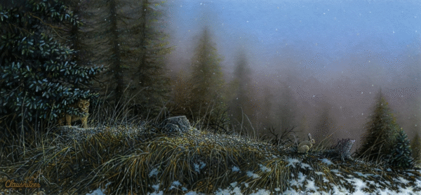 Hunting the High Country